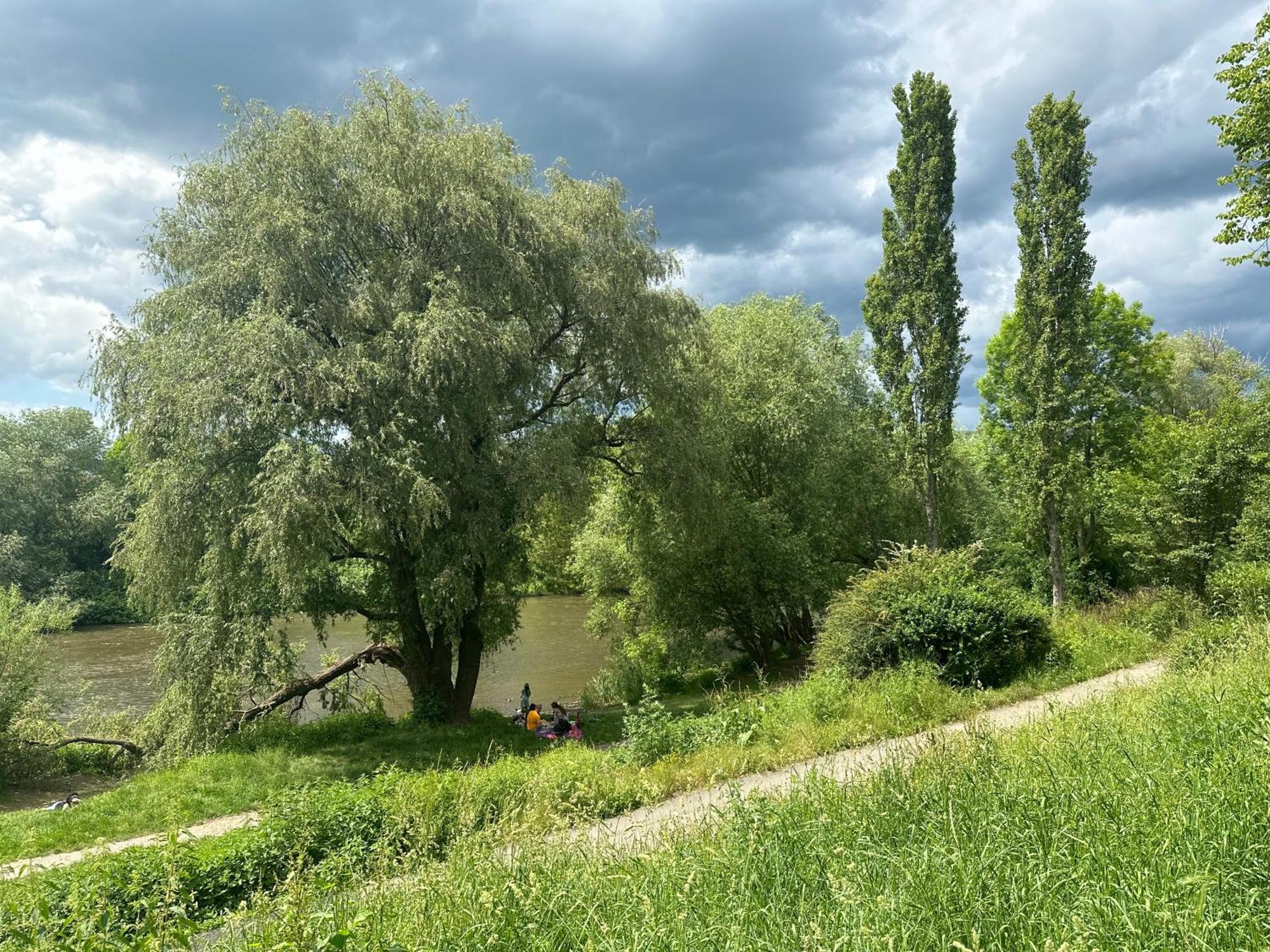 Idyllisches Haus In Direkt An Der Saale